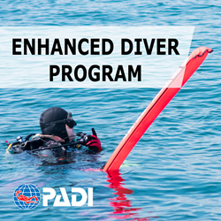 Enhanced Diver Package